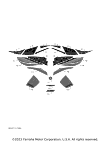 Graphic & Emblem