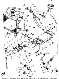 Radiator - Hose