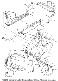 Radiator Hose