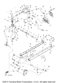 Radiator Hose