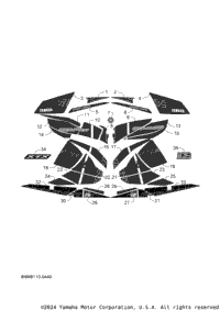 Graphic & Emblem