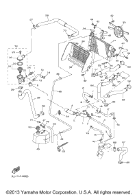 Radiator Hose