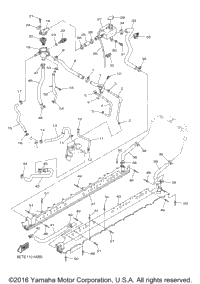 Radiator Hose