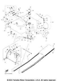 Radiator & Hose