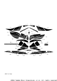 Graphic & Emblem