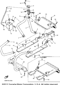 Radiator - Hose