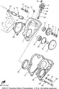 Pump Drive - Gear