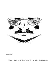 Graphic & Emblem