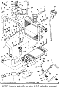 Radiator Hose