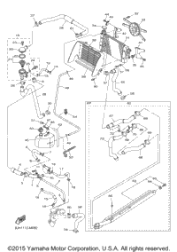 Radiator Hose