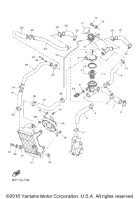 Radiator Hose