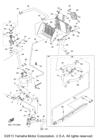 Radiator Hose