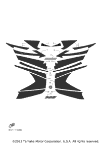 Graphic & Emblem