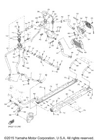 Radiator Hose