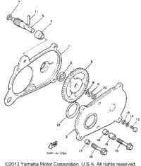 Pump Drive-Gear
