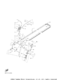 Radiator & Hose