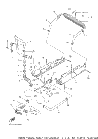 Radiator Hose