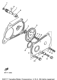 Pump Drive Gear