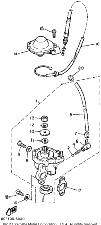 Oil Pump