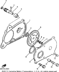 Pump Drive - Gear