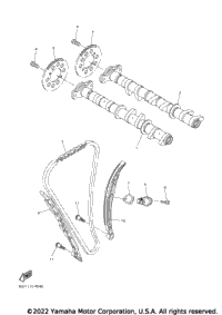 Camshaft & Chain