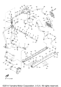 Radiator Hose