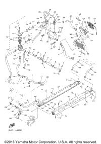 Radiator Hose