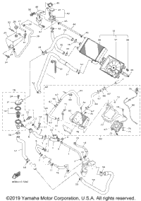 Radiator Hose