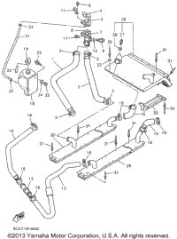 Radiator Hose