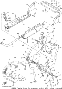 Radiator Hose