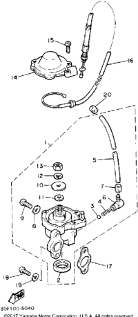 Oil Pump