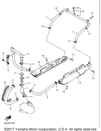 Radiator Hose