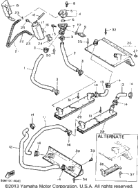 Radiator-Hose