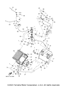 Radiator & Hose