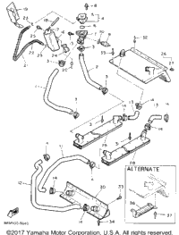 Radiator Hose