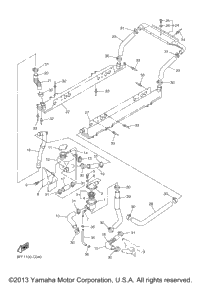 Radiator Hose