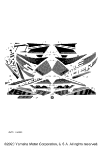 Graphic & Emblem