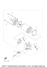 Starting Motor