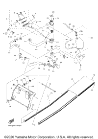 Radiator & Hose