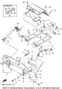 Radiator Hose