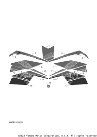 Graphic & Emblem