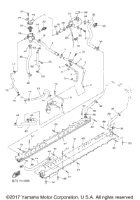 Radiator Hose