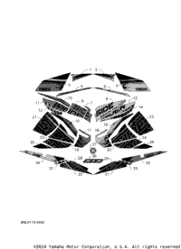 Graphic & Emblem