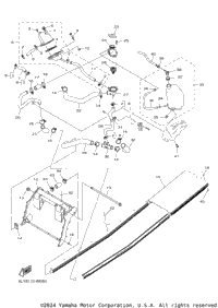 Radiator & Hose