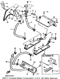 Radiator - Hose