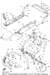 Radiator Hose