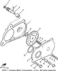 Pump Drive - Gear