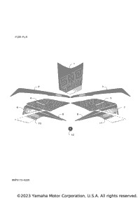 Graphic & Emblem