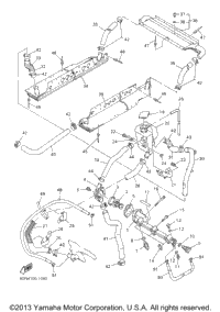 Radiator Hose