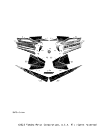 Graphic & Emblem